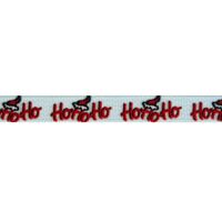 Ripsband Weihnachten 10mm - Hohoho Zickzack Hell Blau Weiß